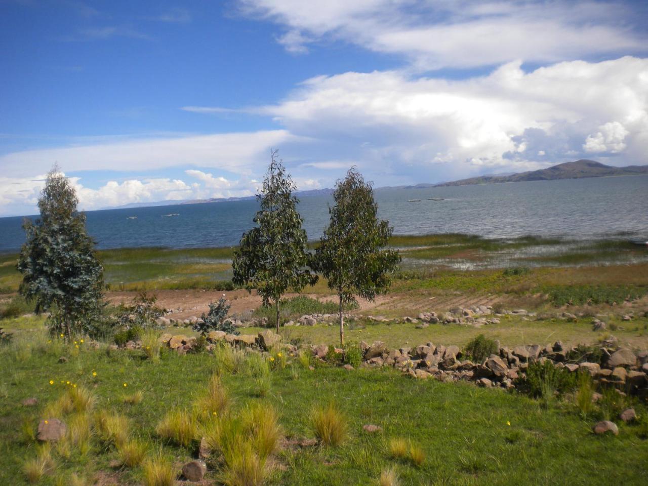 Kuntur Inn Hotel Puno Exterior photo